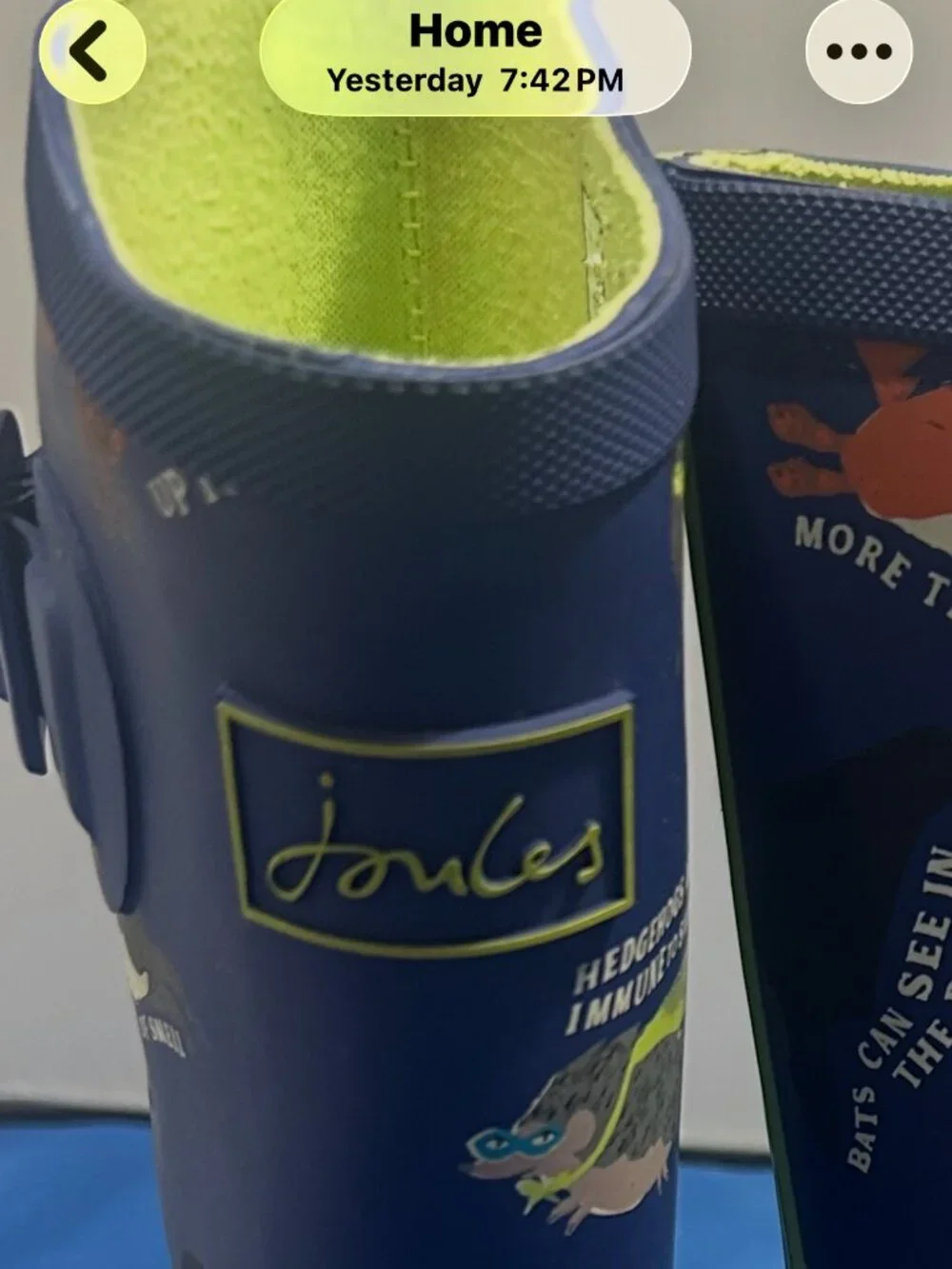 Joules lining jumping